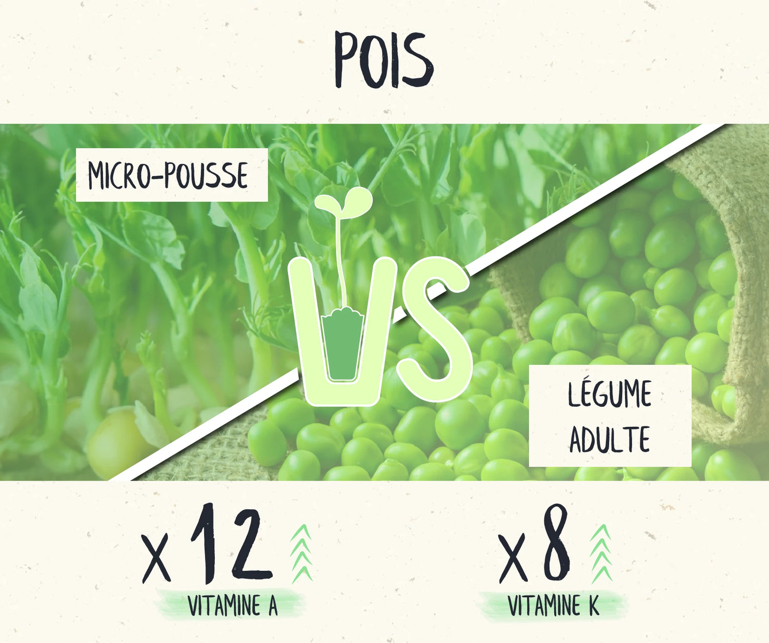 Comparaison micro pousses de pois Van Leaf riches en vitamines A (x12) et K (x8) versus pois adultes. Découvrez les bienfaits santé des micro-pousses pour votre vitalité.
