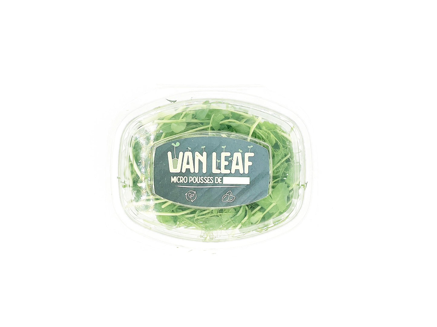 micropousses de pois affyla van leaf sante bio alimentation nutrition cuisine healthy