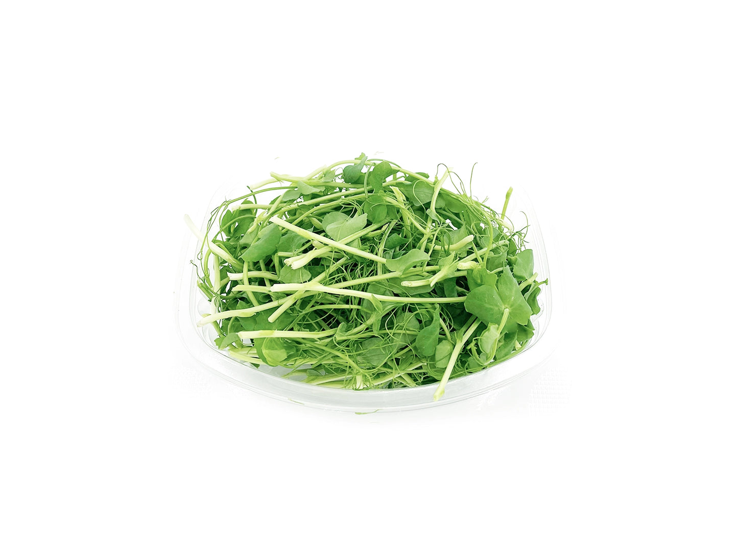 micropousses de pois affyla van leaf sante bio alimentation nutrition cuisine healthy