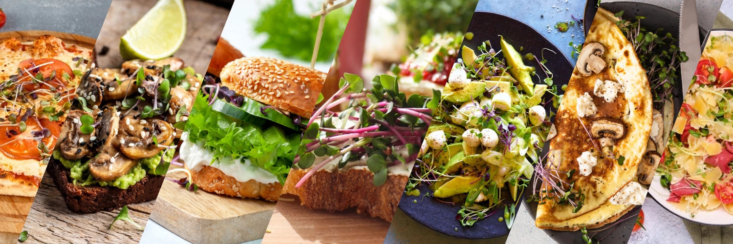 Assiettes-variees-micropousses-bio-Van-Leaf-nutriments-santé-bien-être-digestion-peau-energie-stress-os-immunite
