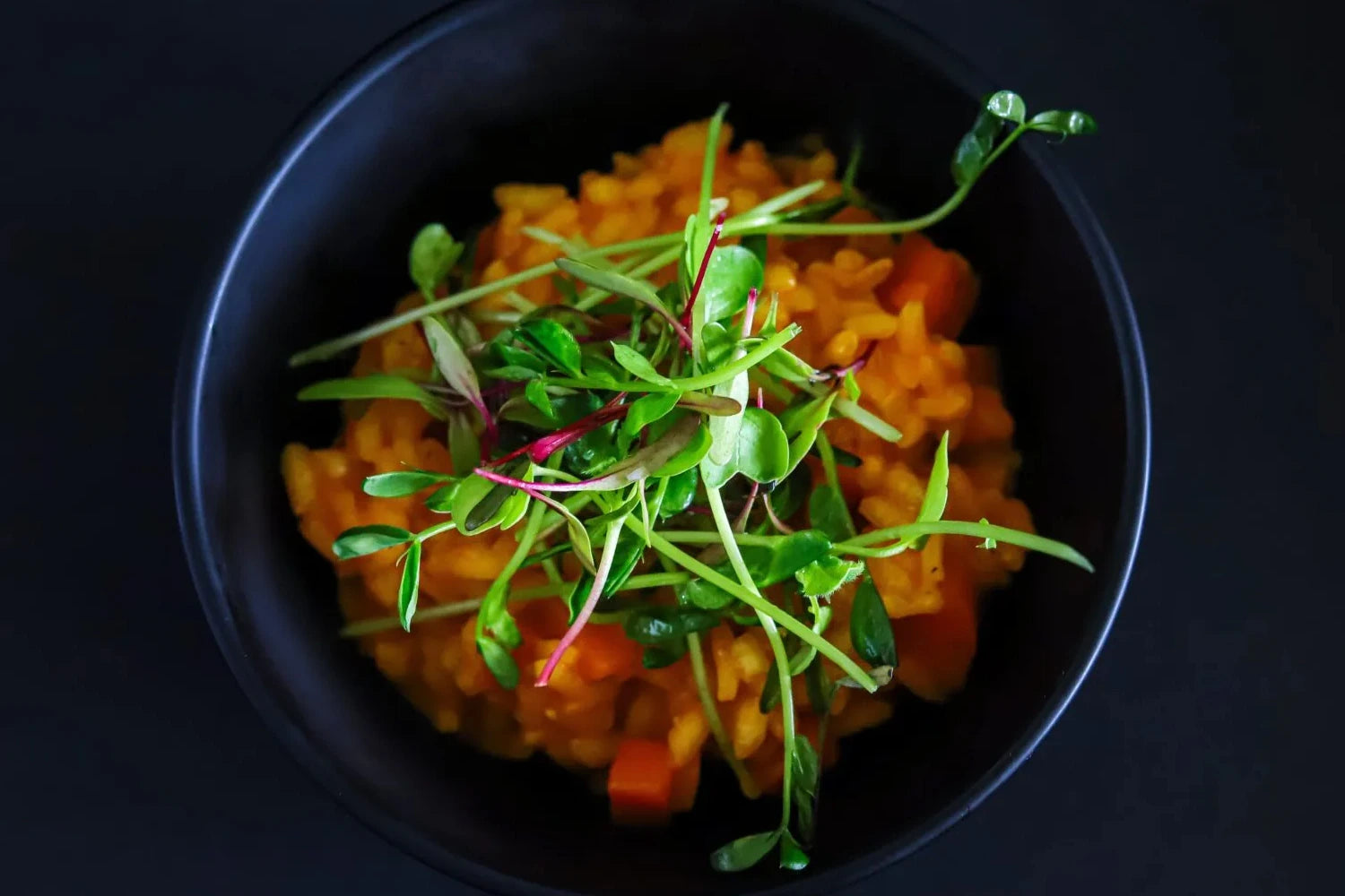 Bol de risotto coloré garni de microgreens frais Van Leaf. Une idée recette saine et savoureuse pour enrichir votre alimentation, soutenir la digestion et booster votre énergie grâce aux nutriments de nos jeunes pousses. santé bio alimentation nutrition cuisine écologie healthy