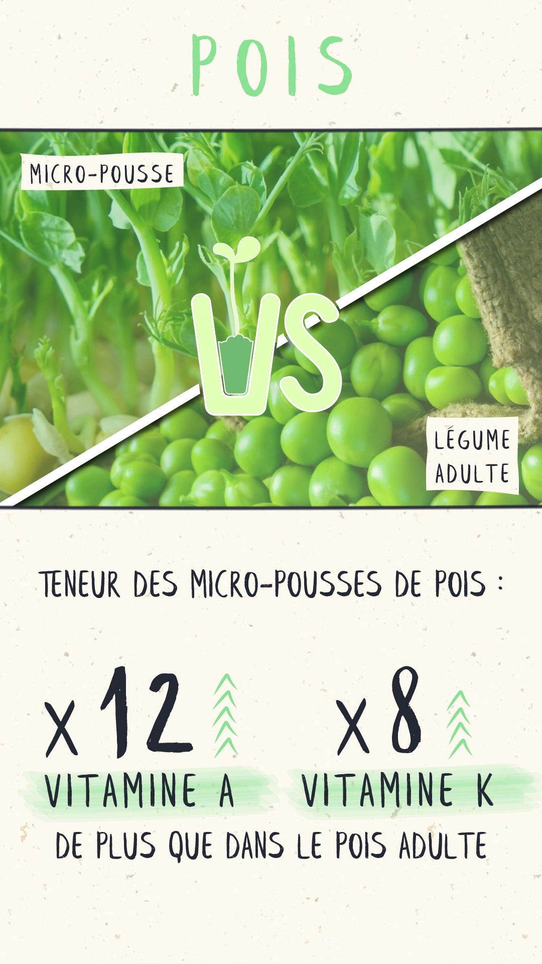 comparatif micro-pousses de pois affyla vs pois adulte micropousses de pois affyla radis daikon radis sango van leaf santé bio alimentation nutrition cuisine healthy