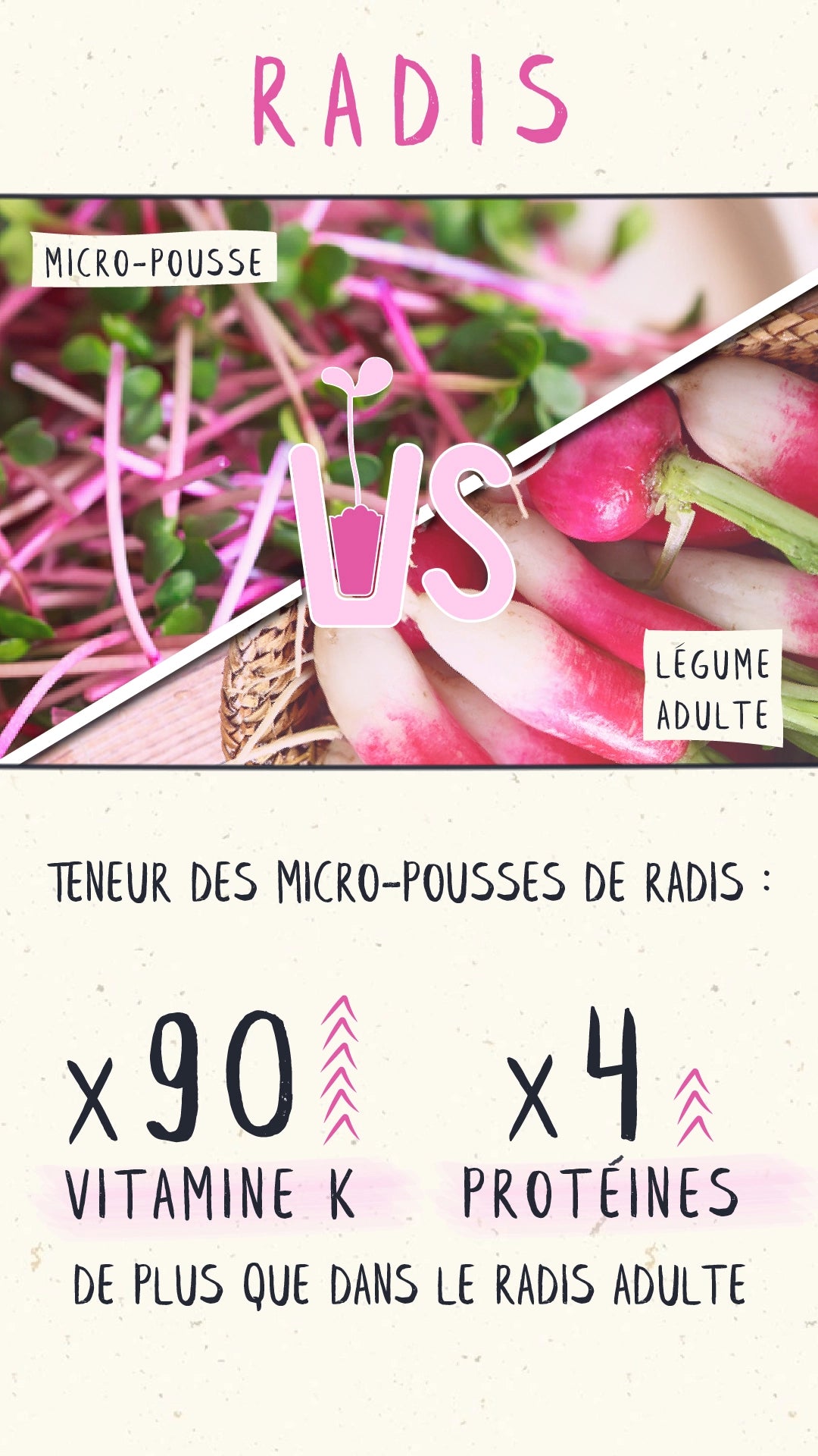comparatif micro-pousses de radis vs radis adulte micropousses de pois affyla radis daikon radis sango van leaf santé bio alimentation nutrition cuisine healthy
