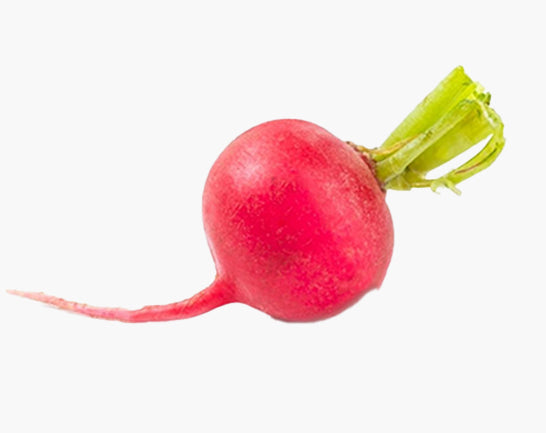 Micro-pousse de radis rose Van Leaf pour une digestion facile et un bien-être optimal.