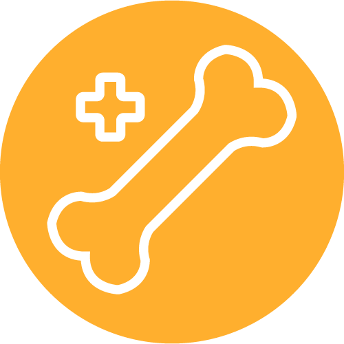 Icône os orange avec croix signifiant la contribution des micro pousses Van Leaf à la santé osseuse et au maintien d'os forts chez les femmes seniors.