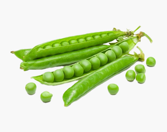 Micro-pousses de pois affyla bio Van Leaf, riches en énergie et vitalité pour votre bien-être. Idéales pour digestion et système immunitaire.