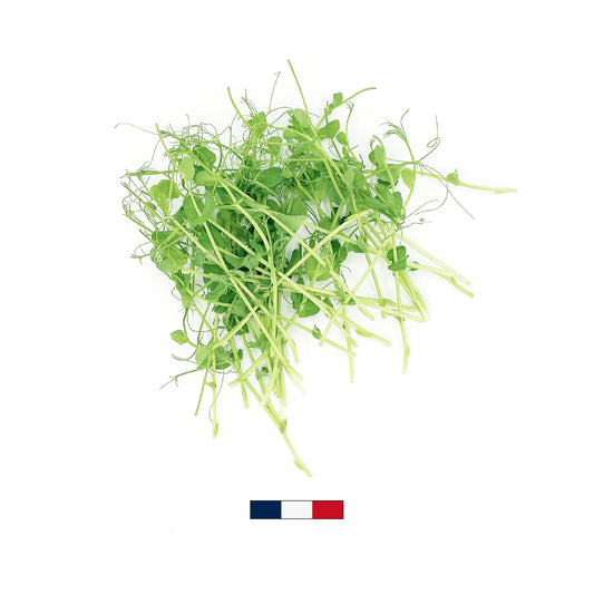 Micro-pousses de Pois Affyla (50g)