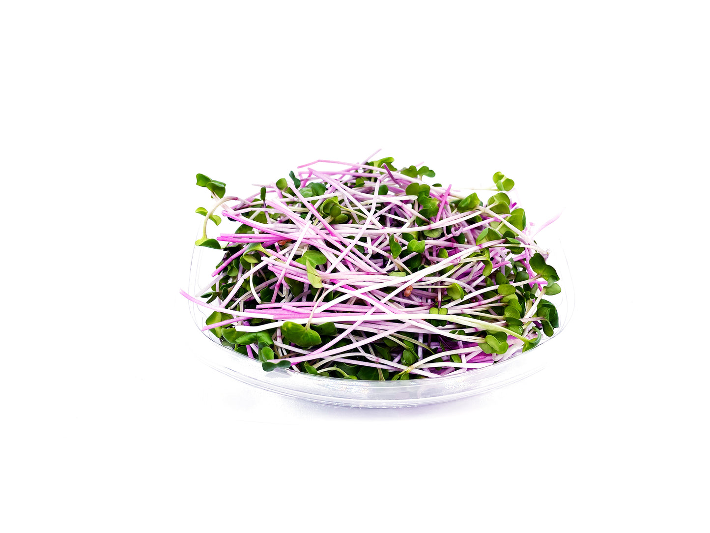 Micro-pousses de Radis Noir (50g)