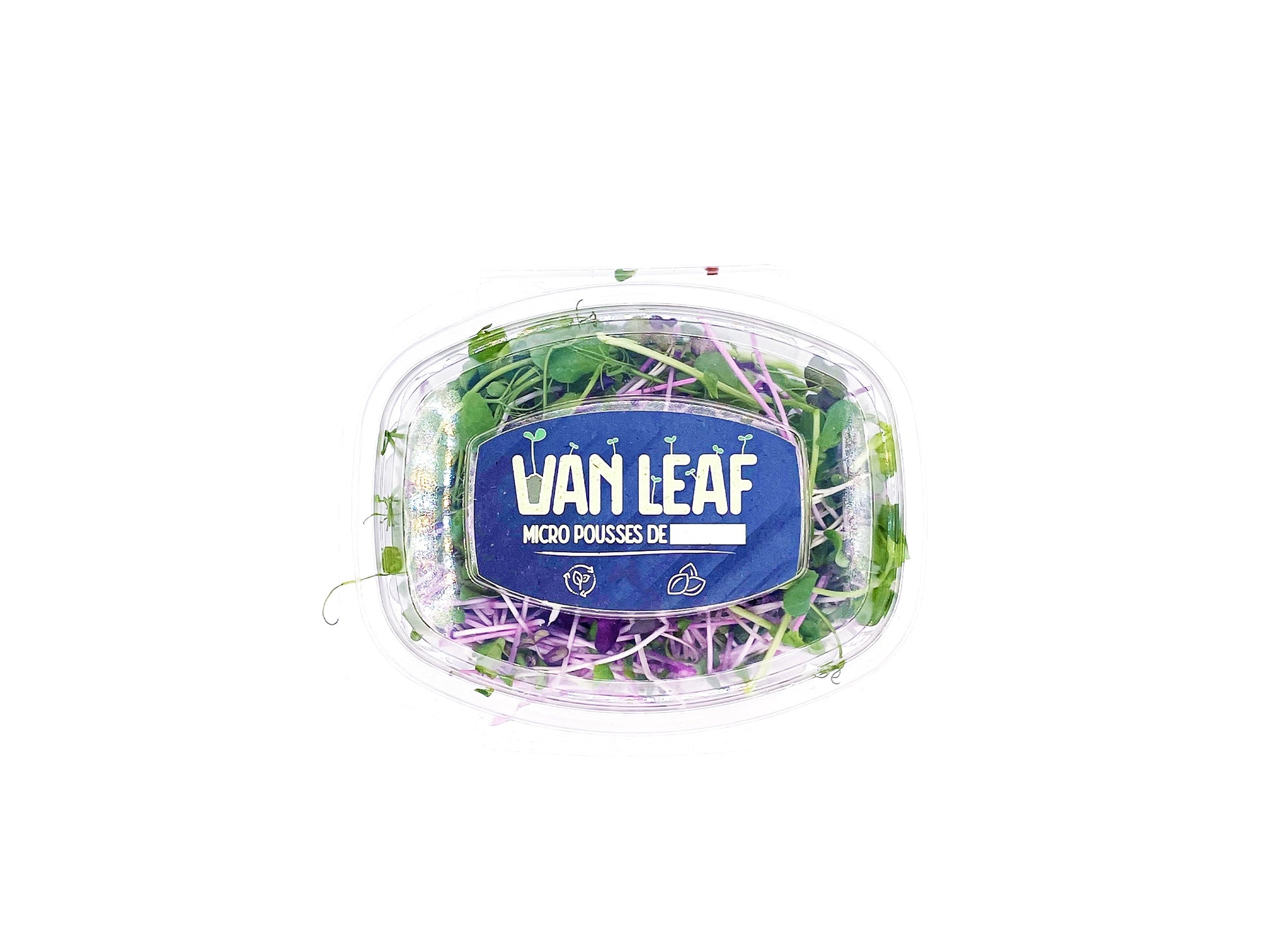 micropousses de pois affyla radis daikon radis sango van leaf santé bio alimentation nutrition cuisine healthy