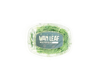 micropousses de pois affyla van leaf sante bio alimentation nutrition cuisine healthy