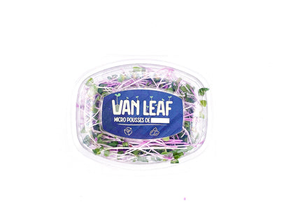 micropousses de radis daikon van leaf sante bio alimentation nutrition cuisine healthy