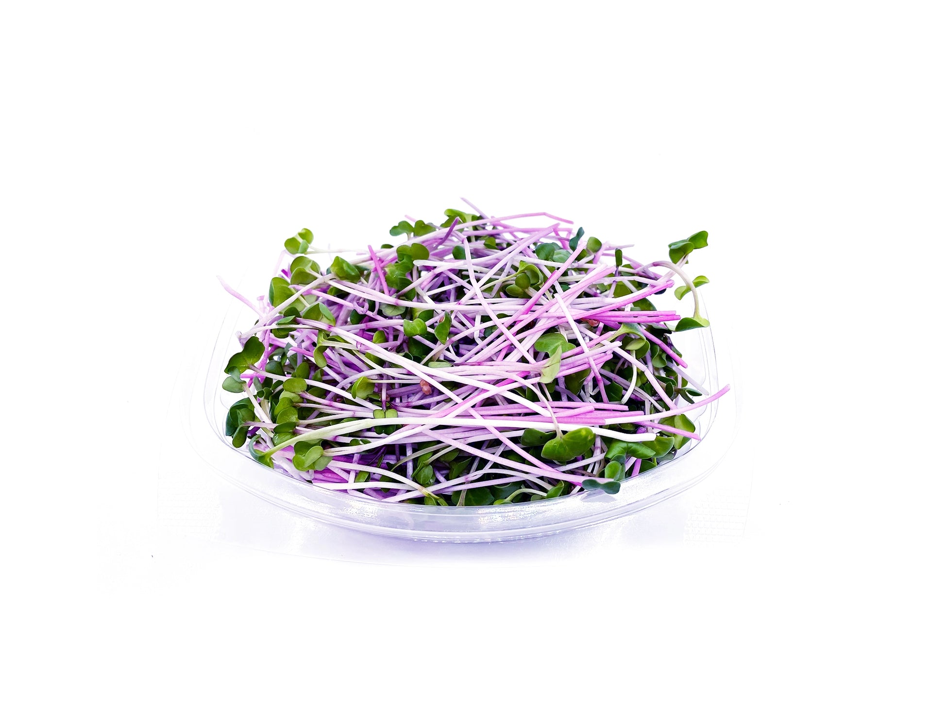 micropousses de radis daikon van leaf sante bio alimentation nutrition cuisine healthy