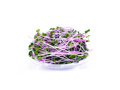 micropousses de radis daikon van leaf sante bio alimentation nutrition cuisine healthy