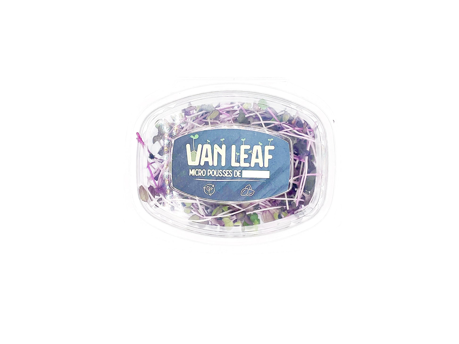 micropousses de radis sango van leaf sante bio alimentation nutrition cuisine healthy